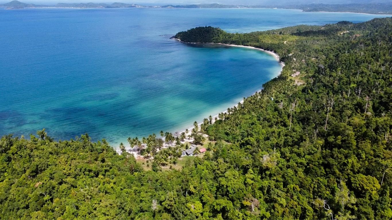 San Vicente’s Agricultural Lots for Sale